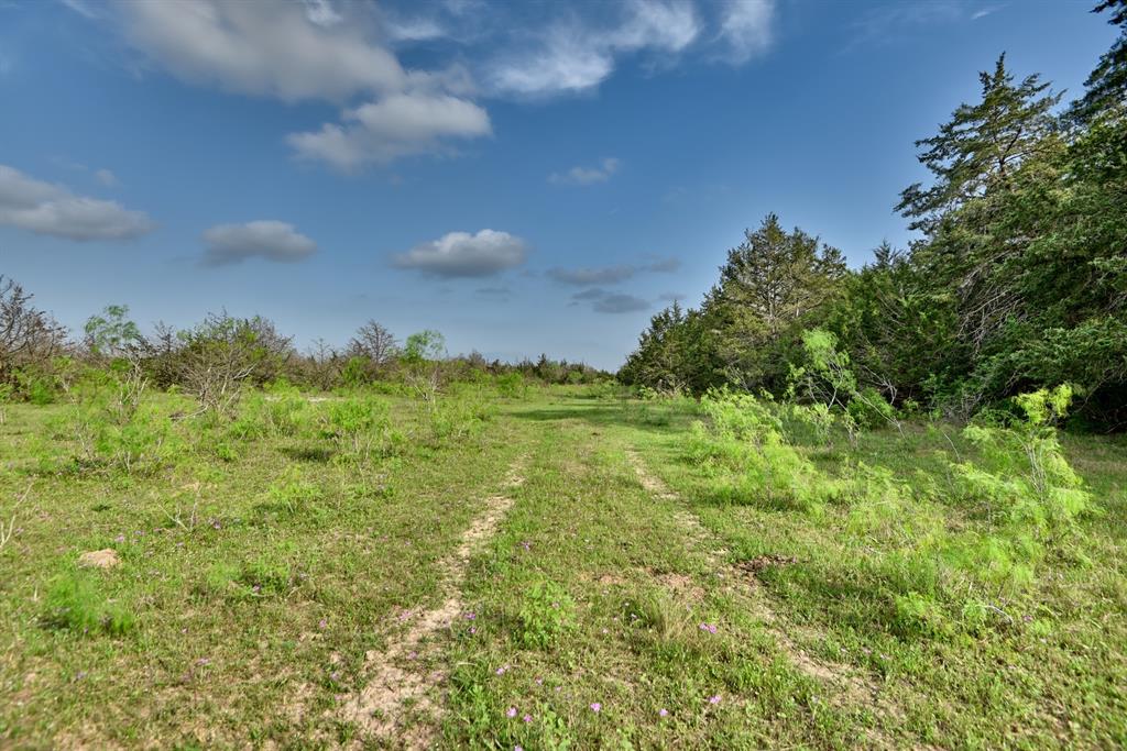 TBD (43.65 Acres) County Road 126, Caldwell, Texas image 29