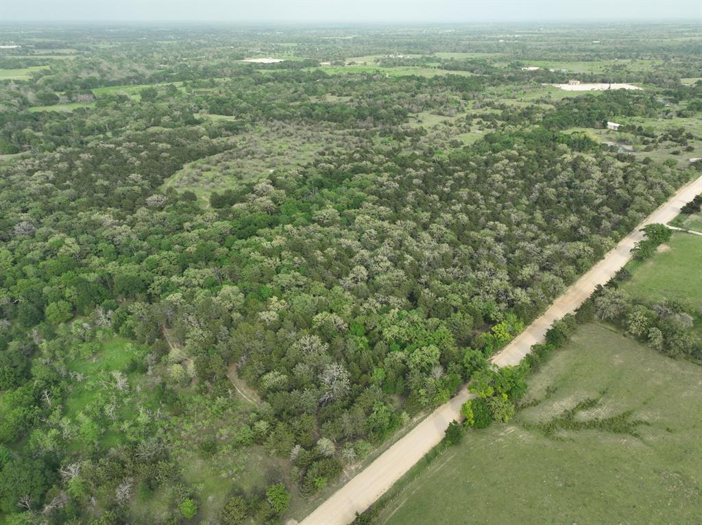 TBD (43.65 Acres) County Road 126, Caldwell, Texas image 26