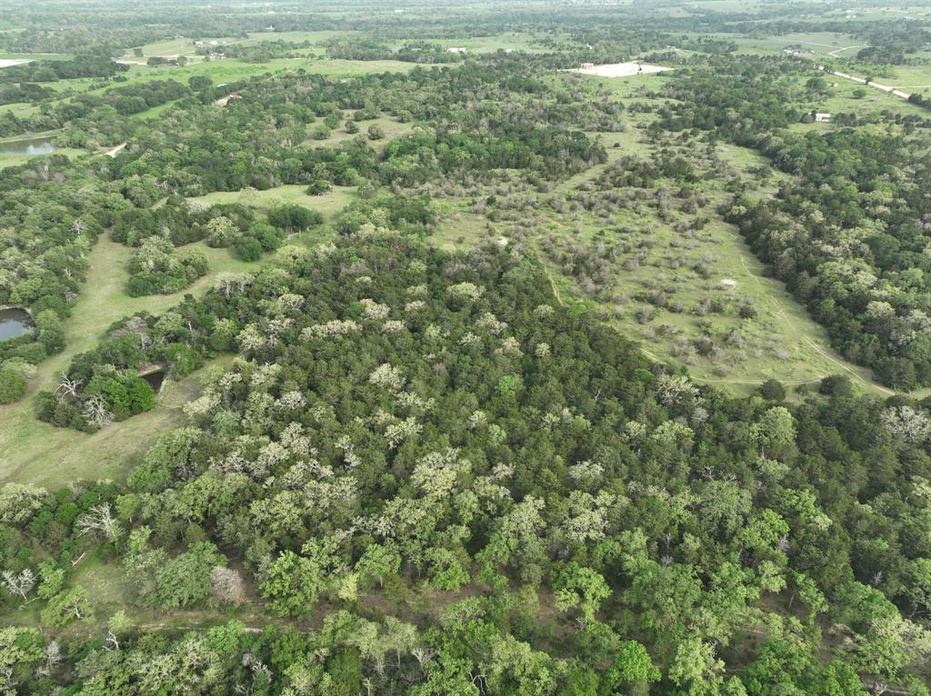 TBD (43.65 Acres) County Road 126, Caldwell, Texas image 19