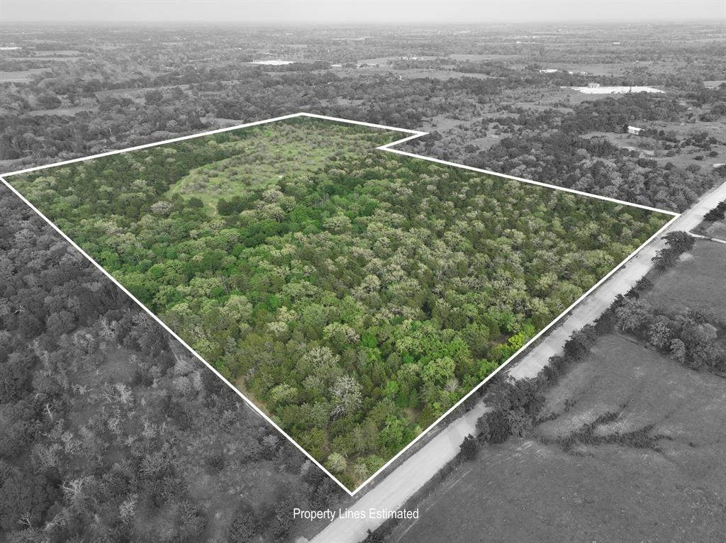 TBD (43.65 Acres) County Road 126, Caldwell, Texas image 1