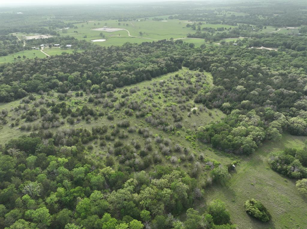TBD (43.65 Acres) County Road 126, Caldwell, Texas image 11
