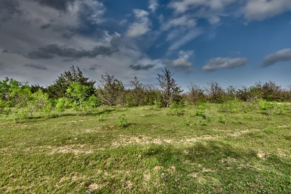 TBD (43.65 Acres) County Road 126, Caldwell, Texas image 30
