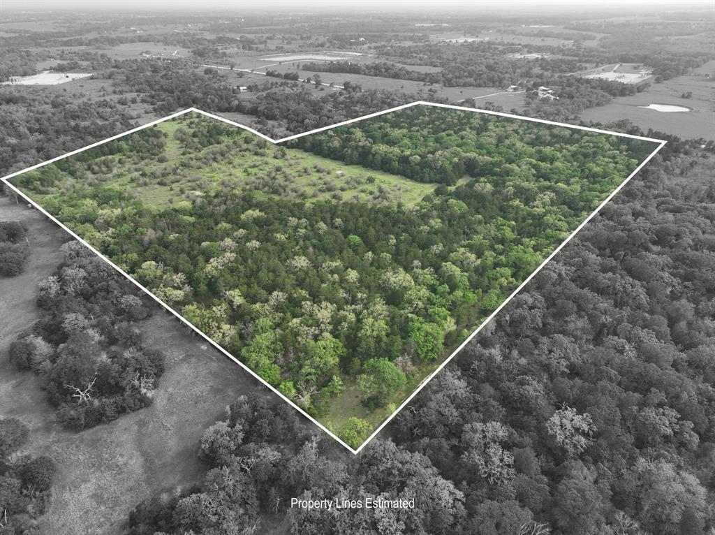 TBD (43.65 Acres) County Road 126, Caldwell, Texas image 15