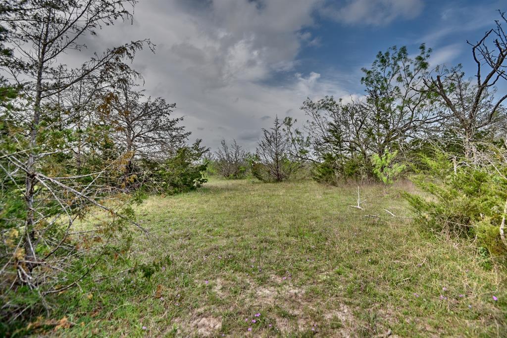 TBD (43.65 Acres) County Road 126, Caldwell, Texas image 27