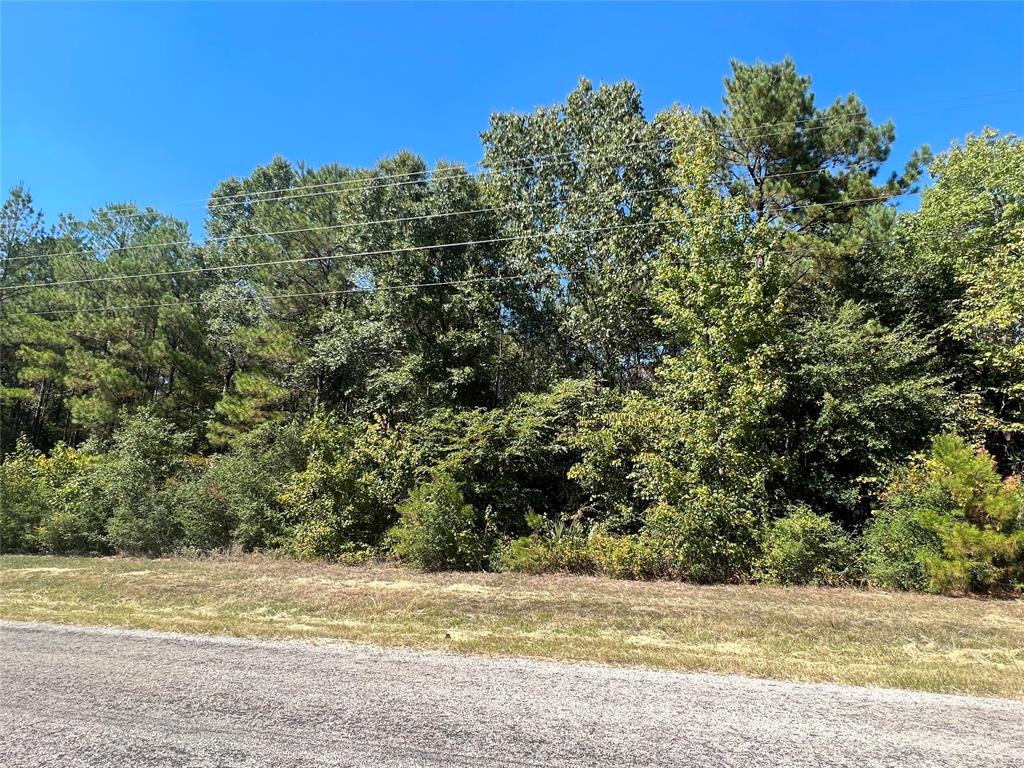 Grand View, Huntsville, Texas image 5