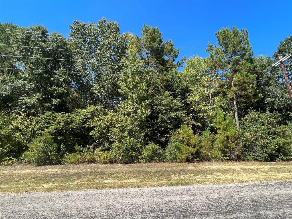 Grand View, Huntsville, Texas image 7