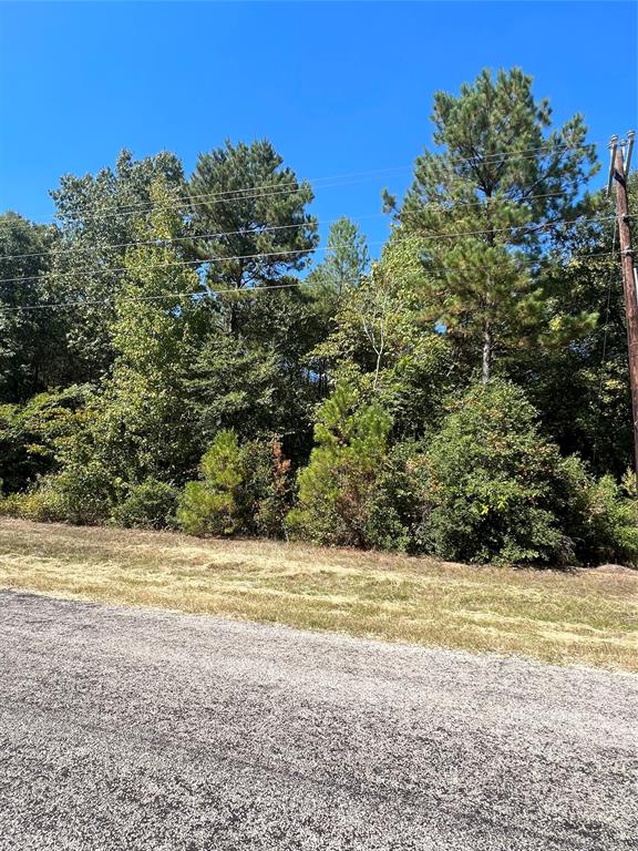 Grand View, Huntsville, Texas image 9