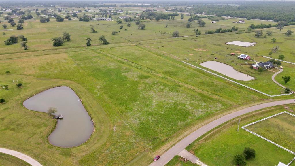 16310 Majestic Oaks Drive Drive, Rosharon, Texas image 18