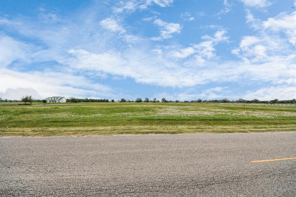 16310 Majestic Oaks Drive Drive, Rosharon, Texas image 26