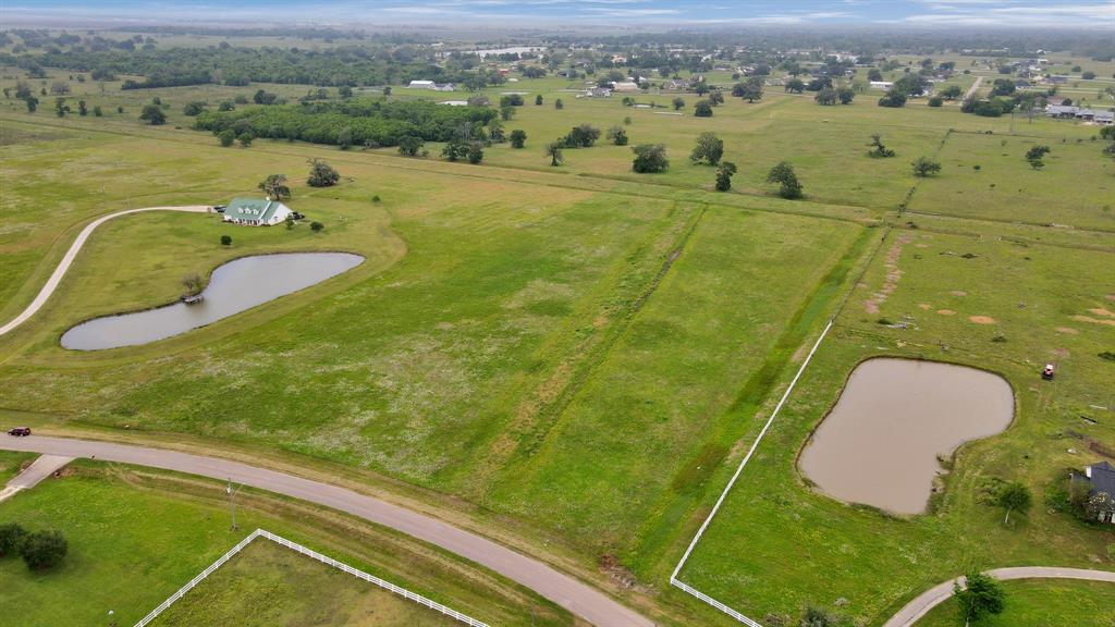 16310 Majestic Oaks Drive Drive, Rosharon, Texas image 20