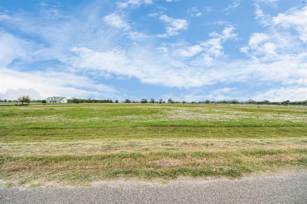 16310 Majestic Oaks Drive Drive, Rosharon, Texas image 27