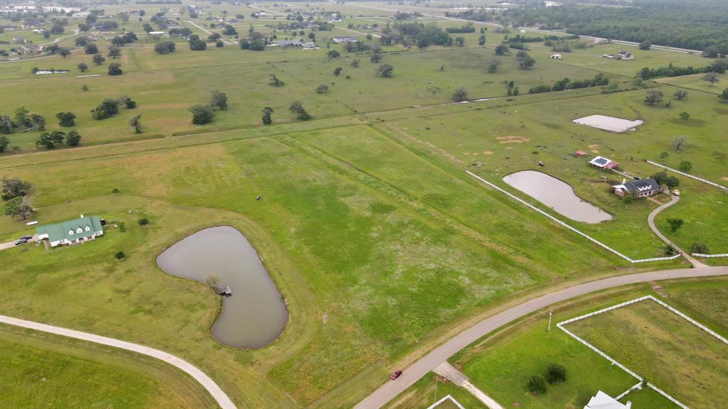 16310 Majestic Oaks Drive Drive, Rosharon, Texas image 7