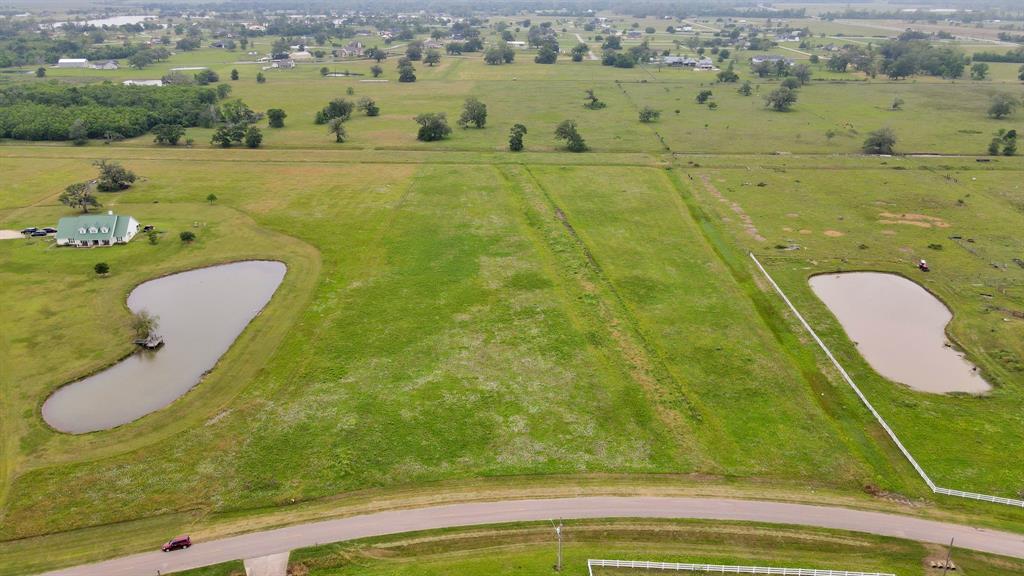 16310 Majestic Oaks Drive Drive, Rosharon, Texas image 14