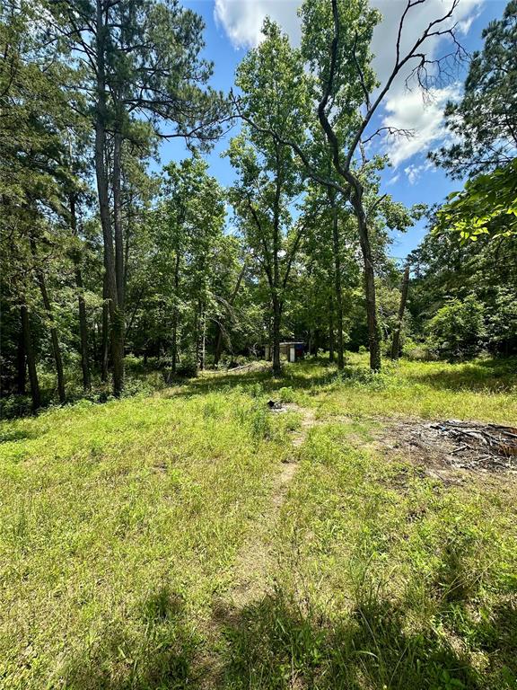 11220 Creek Meadow Dr Dr, Willis, Texas image 8