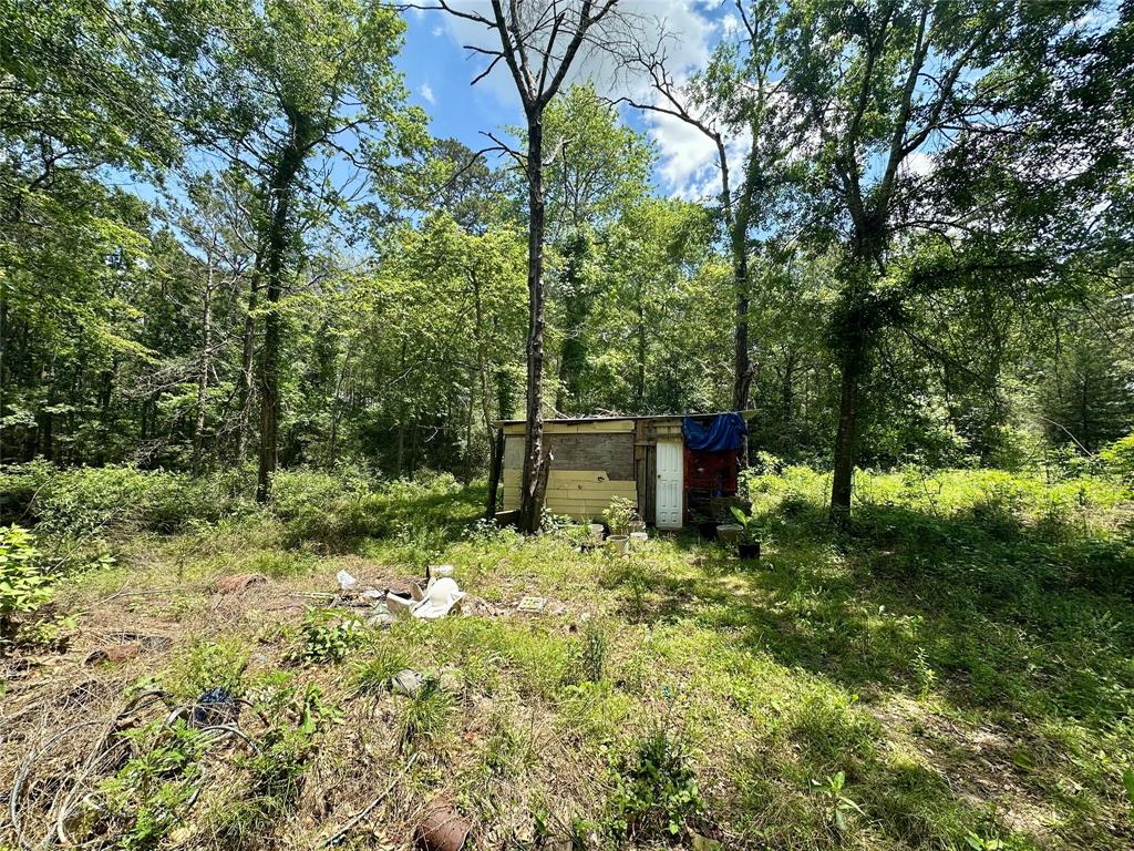11220 Creek Meadow Dr Dr, Willis, Texas image 10