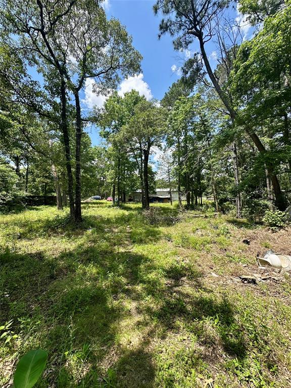 11220 Creek Meadow Dr Dr, Willis, Texas image 7