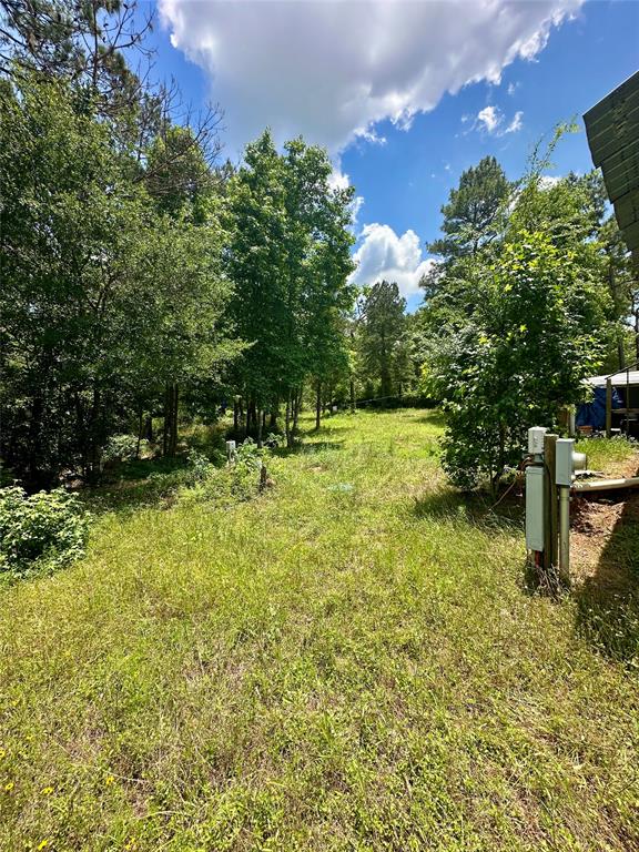 11220 Creek Meadow Dr Dr, Willis, Texas image 13