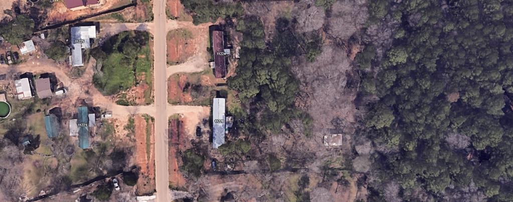 11220 Creek Meadow Dr Dr, Willis, Texas image 15