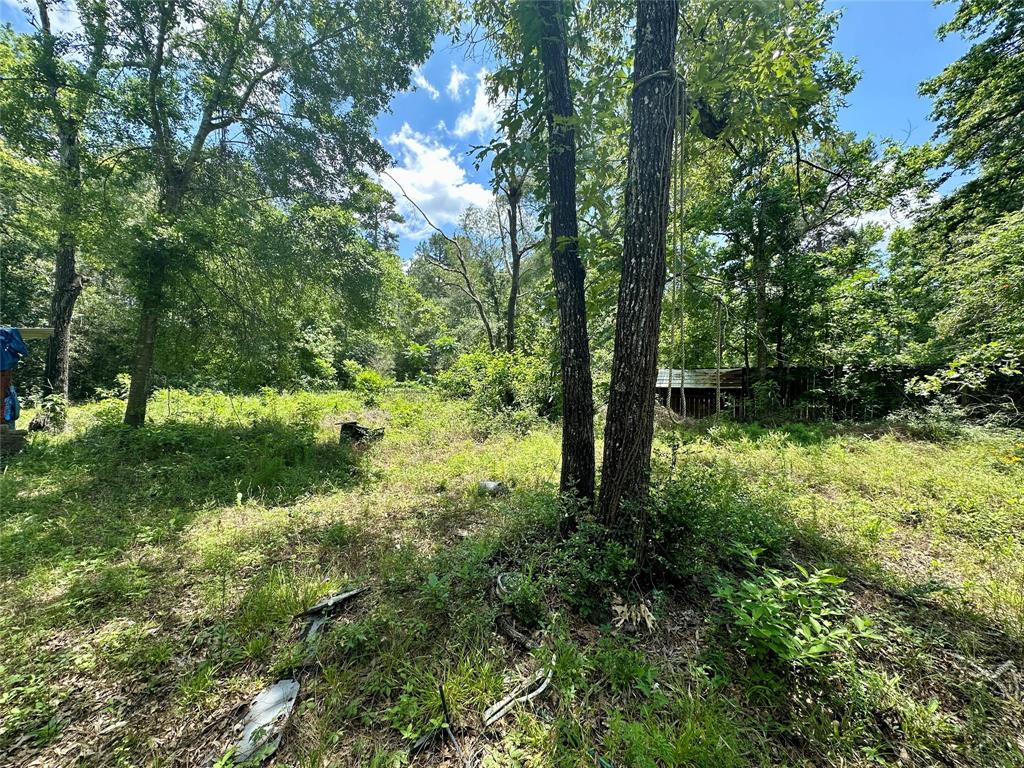 11220 Creek Meadow Dr Dr, Willis, Texas image 9