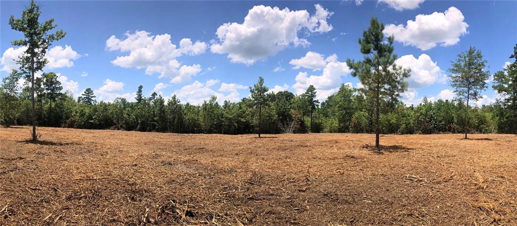 Lot 2 Cr 338, Nacogdoches, Texas image 5