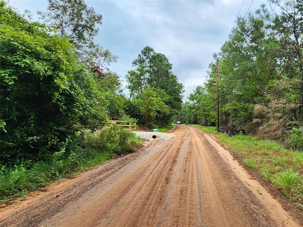 Lot 2 Cr 338, Nacogdoches, Texas image 3