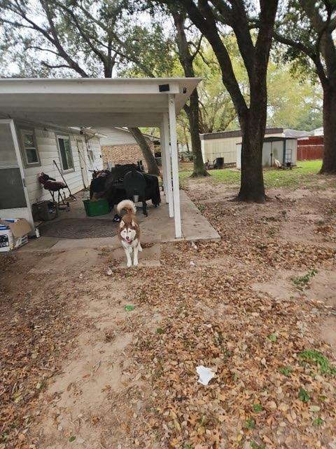 1908 W Norris Street, El Campo, Texas image 6