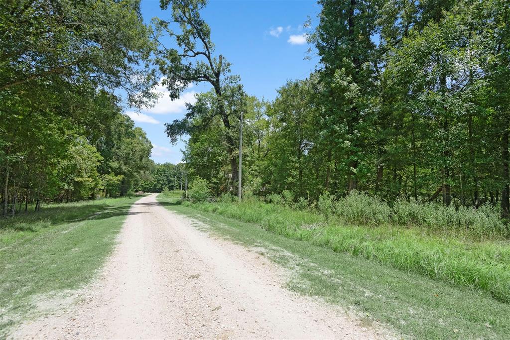 Unruh Drive, Cleveland, Texas image 11