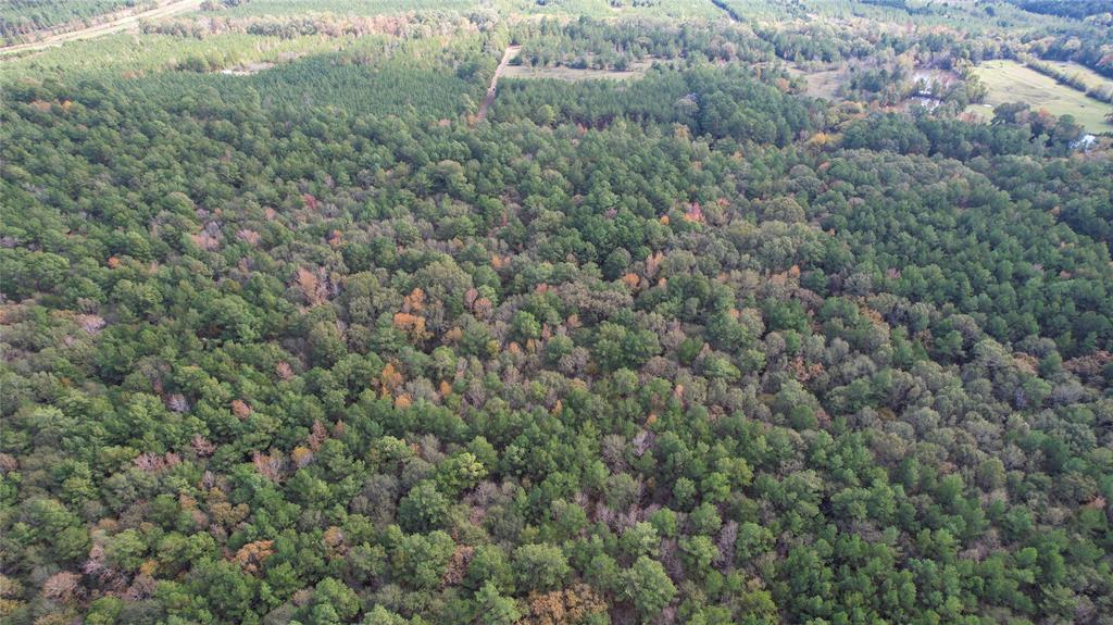 Raven Hill Rd Road, Oakhurst, Texas image 4