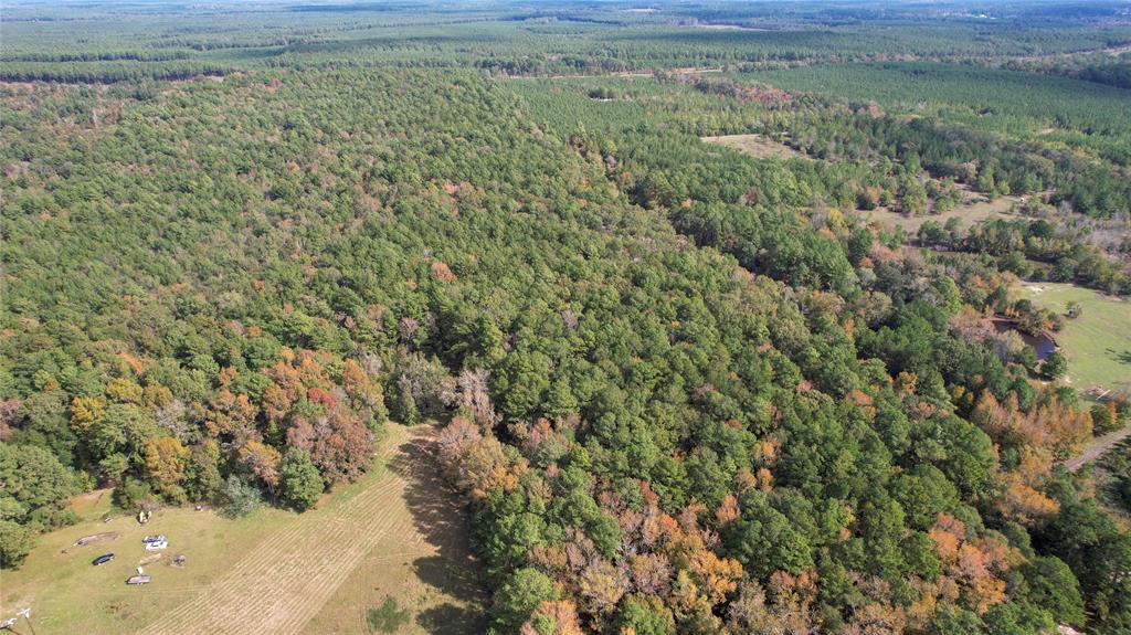 Raven Hill Rd Road, Oakhurst, Texas image 9