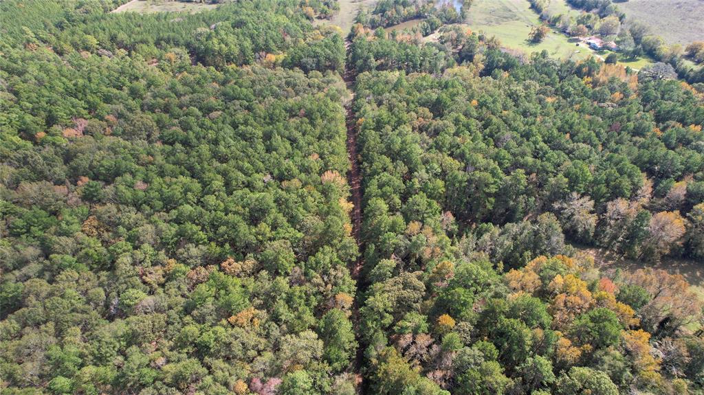 Raven Hill Rd Road, Oakhurst, Texas image 16