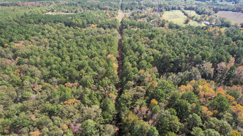 Raven Hill Rd Road, Oakhurst, Texas image 17