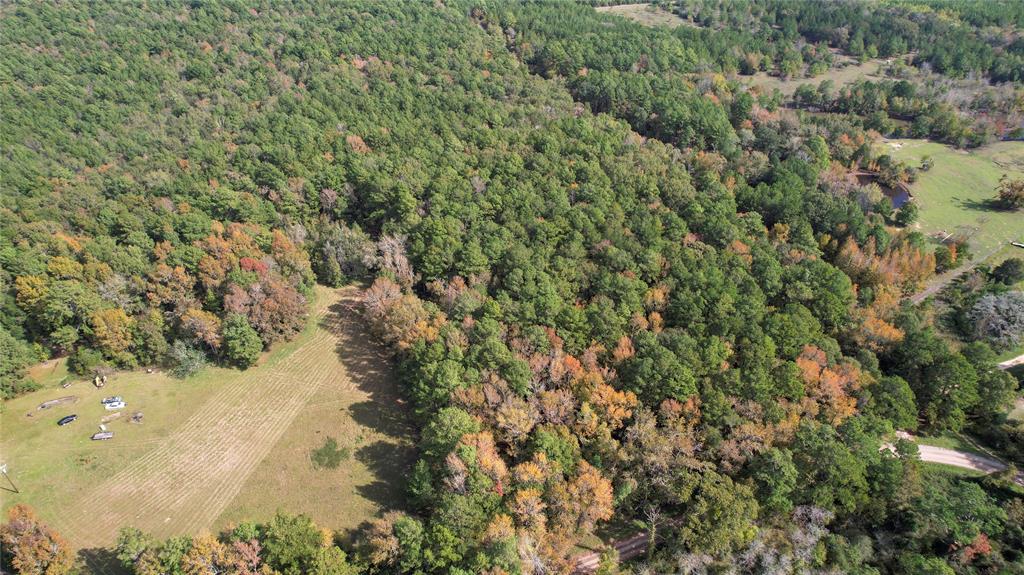 Raven Hill Rd Road, Oakhurst, Texas image 8