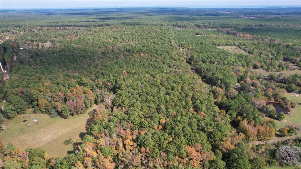 Raven Hill Rd Road, Oakhurst, Texas image 3