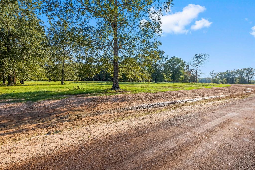 Lot 12 Alans Memorial Lane, New Waverly, Texas image 3