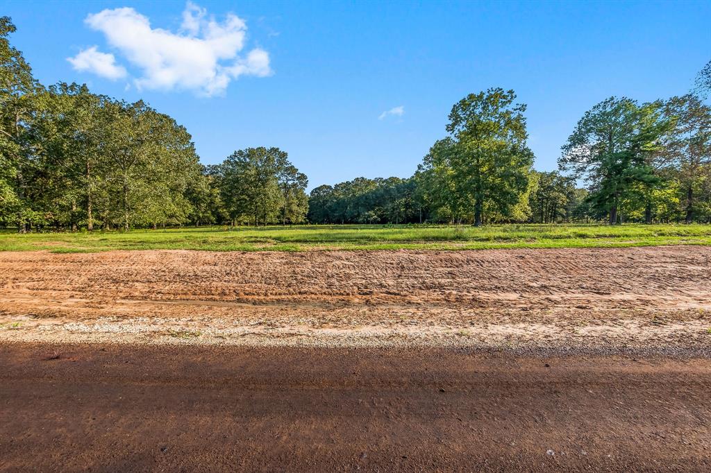 Lot 12 Alans Memorial Lane, New Waverly, Texas image 2