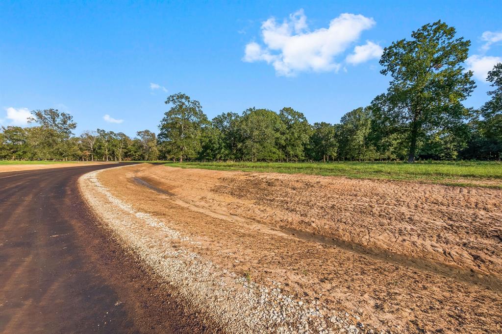 Lot 12 Alans Memorial Lane, New Waverly, Texas image 1