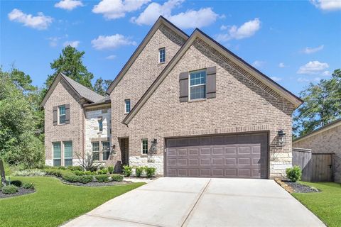 118 Stellar Hills Court Willis TX 77318