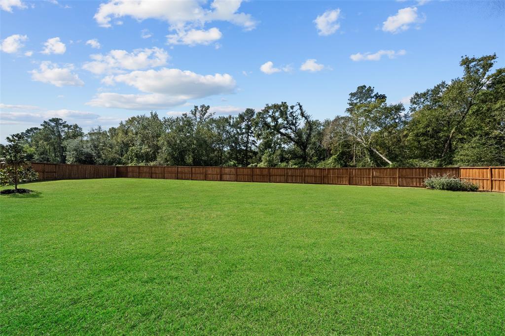 27218 Lombard Wood Drive, Magnolia, Texas image 38