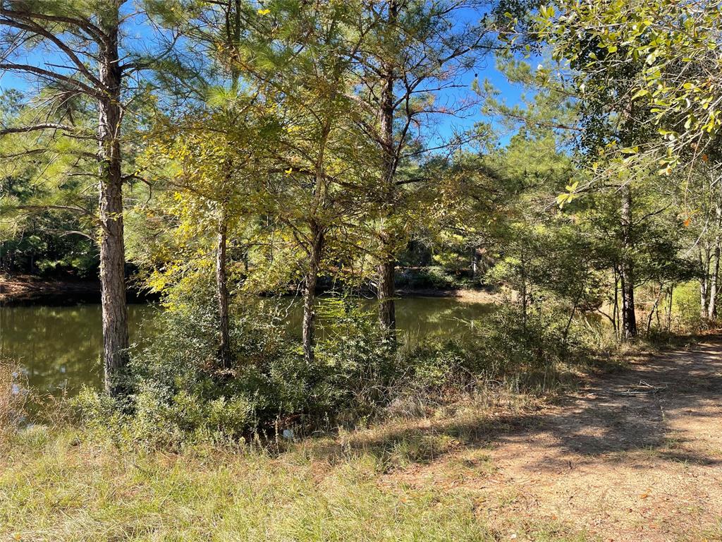 26770 Lake Shore Drive, Hempstead, Texas image 2