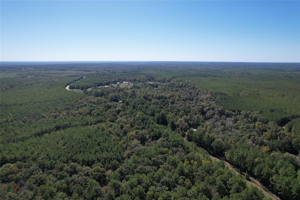 TBD Fm 2991, Burkeville, Texas image 9