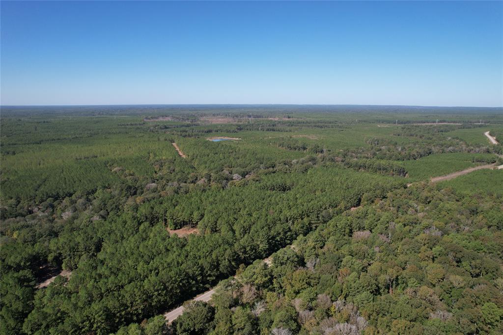 TBD Fm 2991, Burkeville, Texas image 10