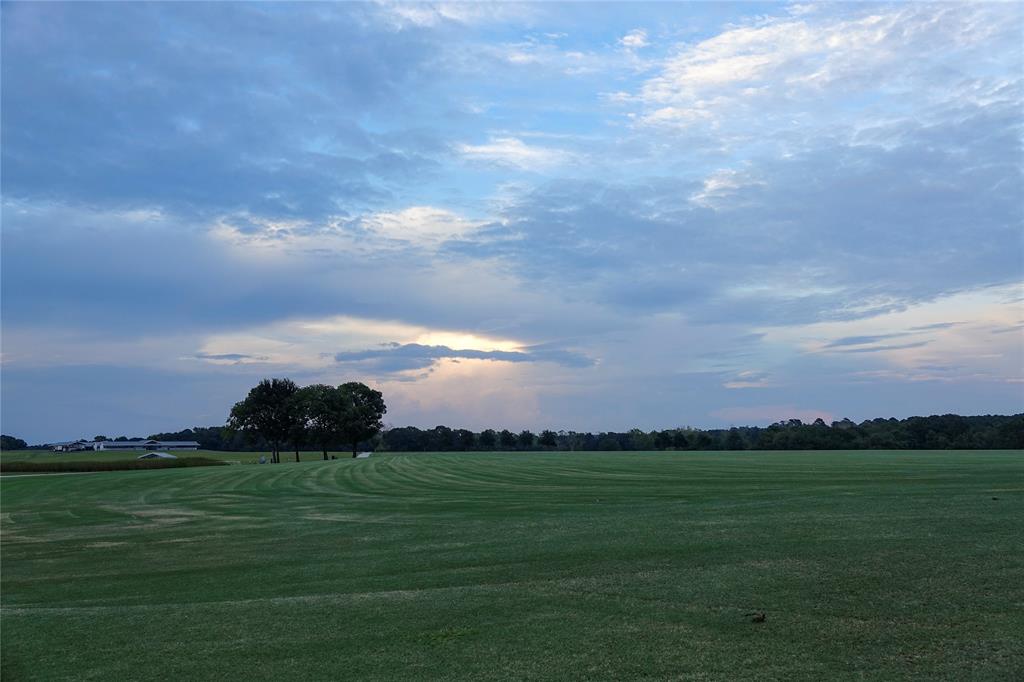 000 Tract #3 Whitehall Ranch Road, Navasota, Texas image 12