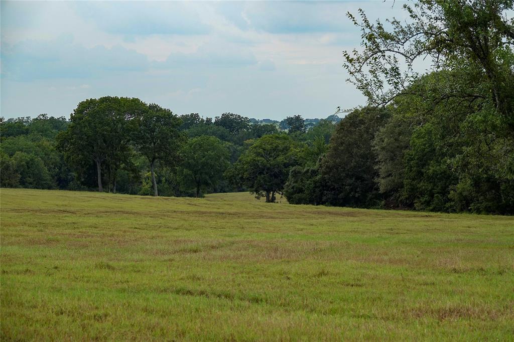 000 Tract #3 Whitehall Ranch Road, Navasota, Texas image 9