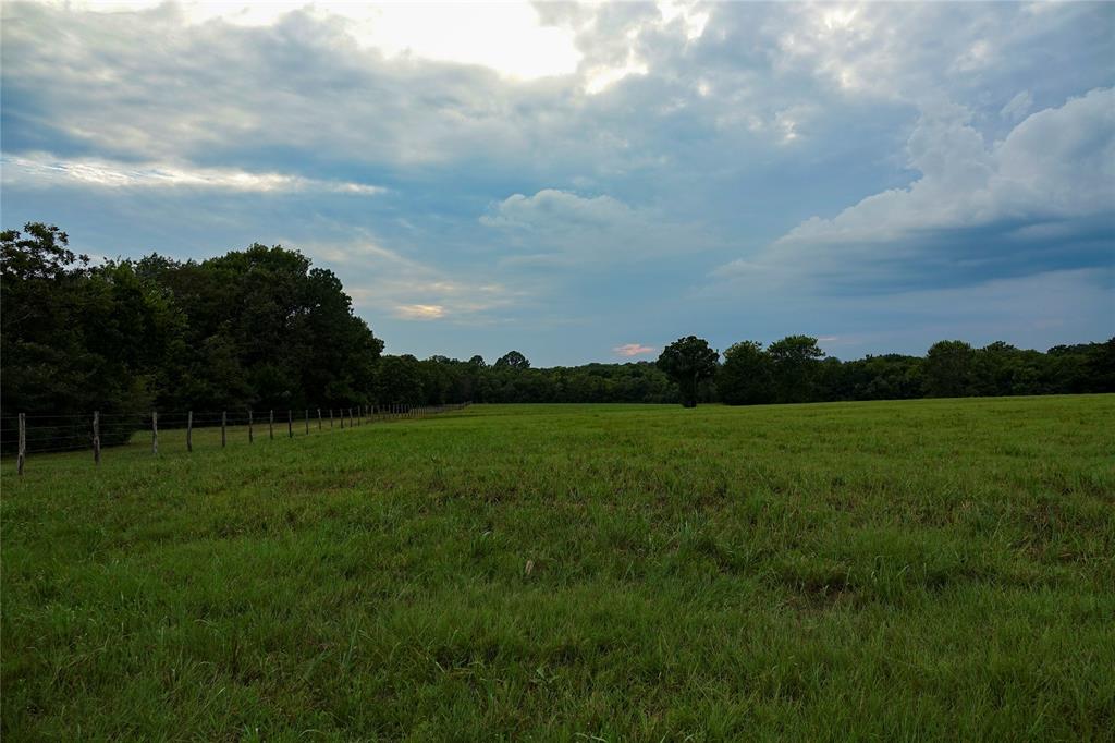 000 Tract #3 Whitehall Ranch Road, Navasota, Texas image 11