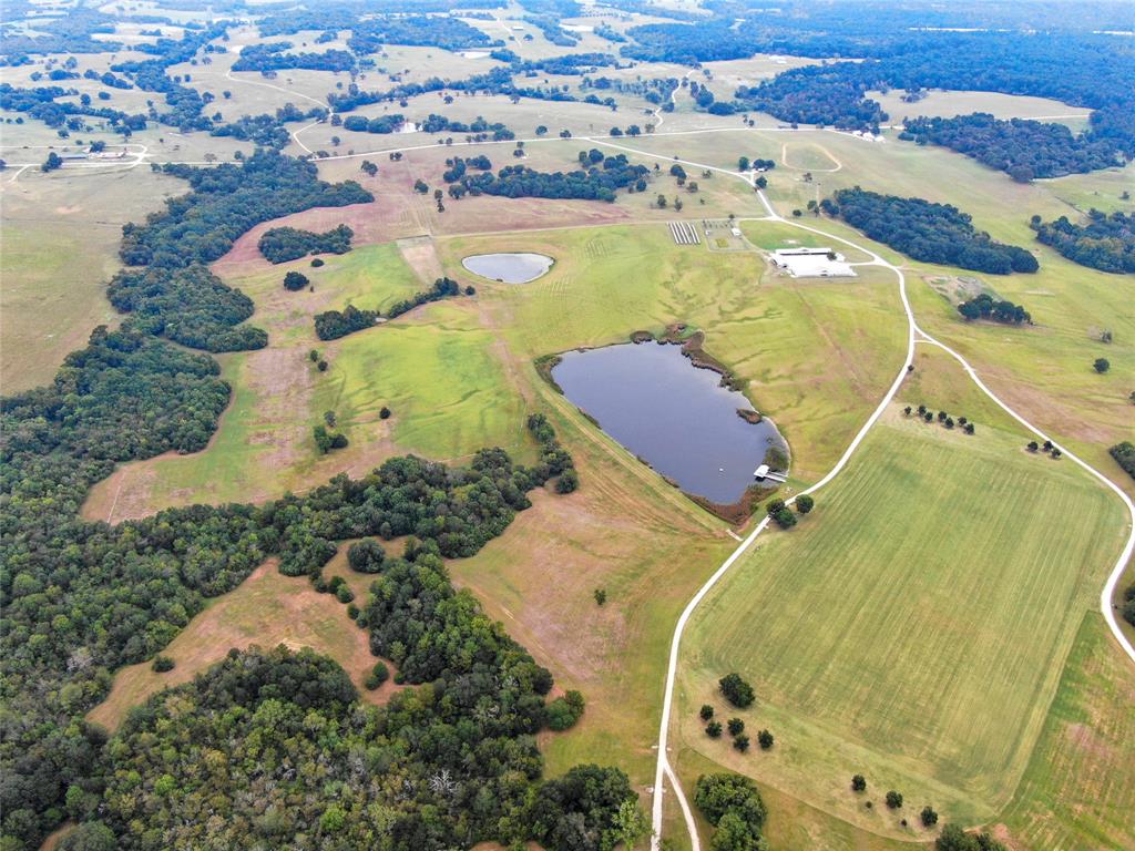 000 Tract #3 Whitehall Ranch Road, Navasota, Texas image 14
