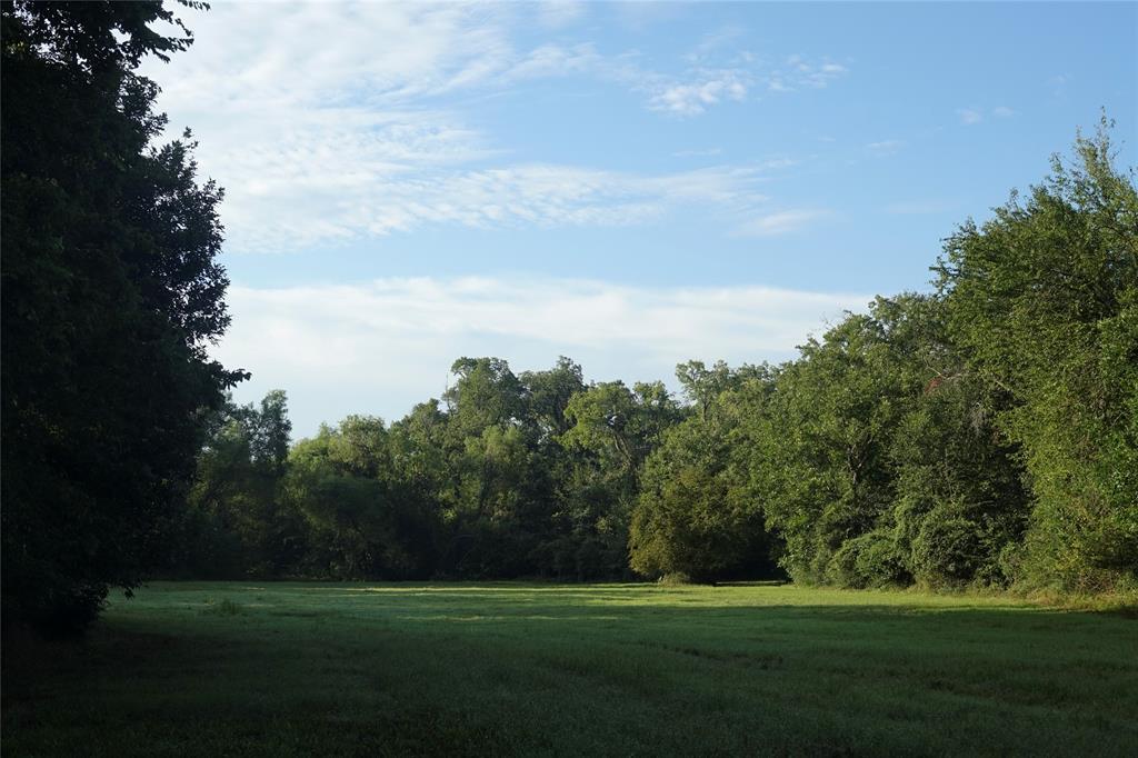 000 Tract #3 Whitehall Ranch Road, Navasota, Texas image 8