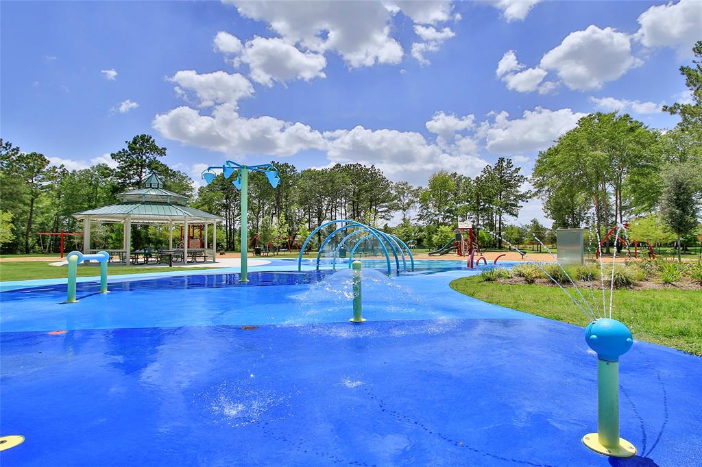 10351 Red Cardinal Drive, Cleveland, Texas image 9