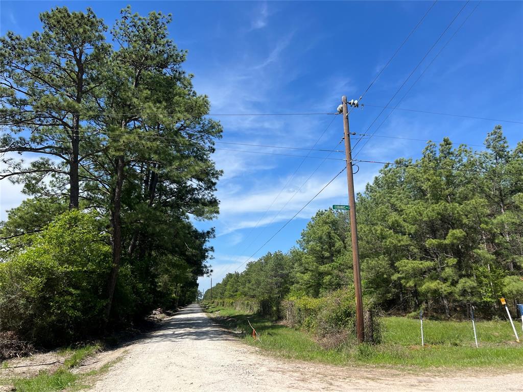 Tract 4 English Rd Road, Bedias, Texas image 1