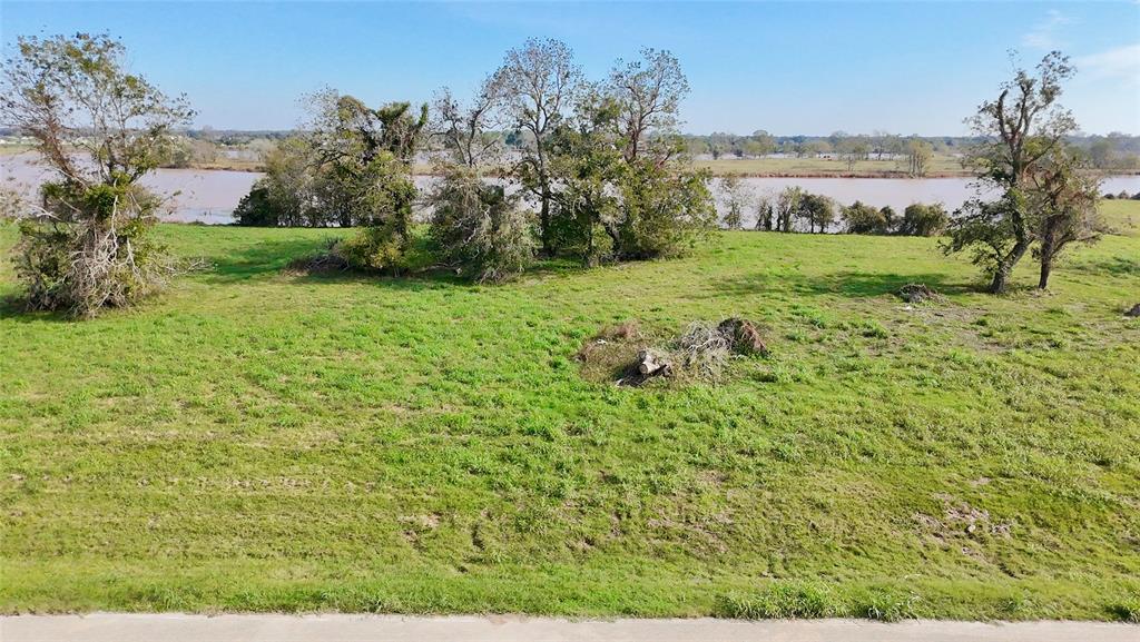 3619 Tankersley Circle, Rosharon, Texas image 9