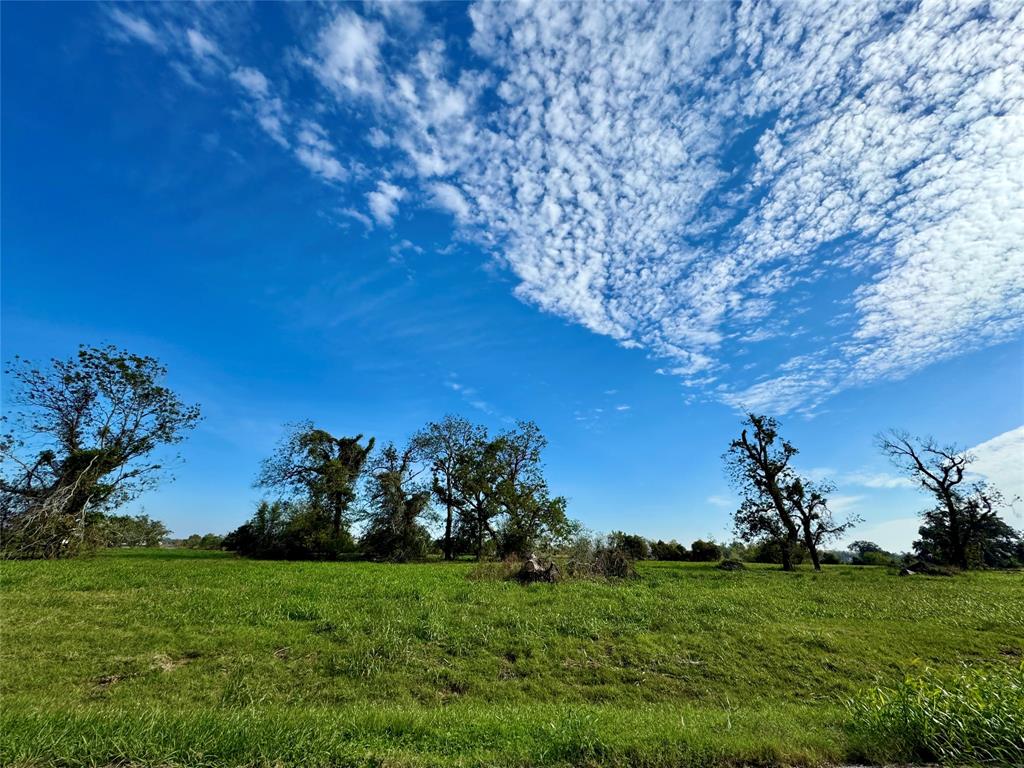 3619 Tankersley Circle, Rosharon, Texas image 4